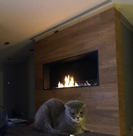 Встраиваемый Биокамин Firezo Classic 1000